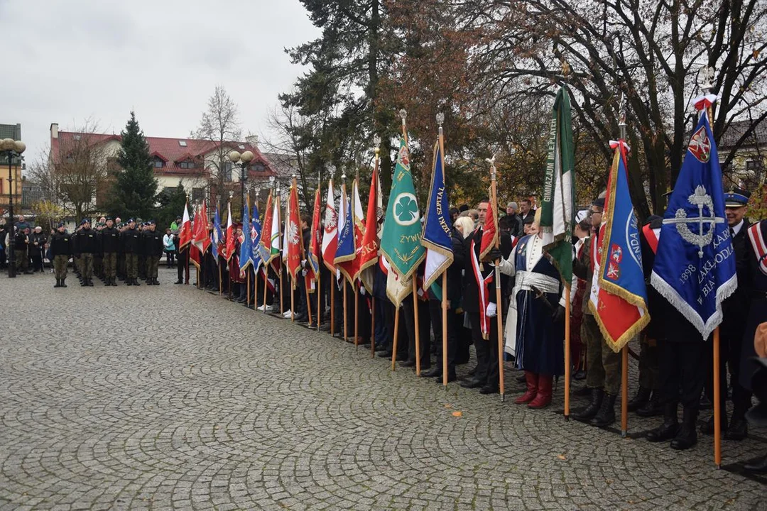 11 Listopada w Białej Podlaskiej