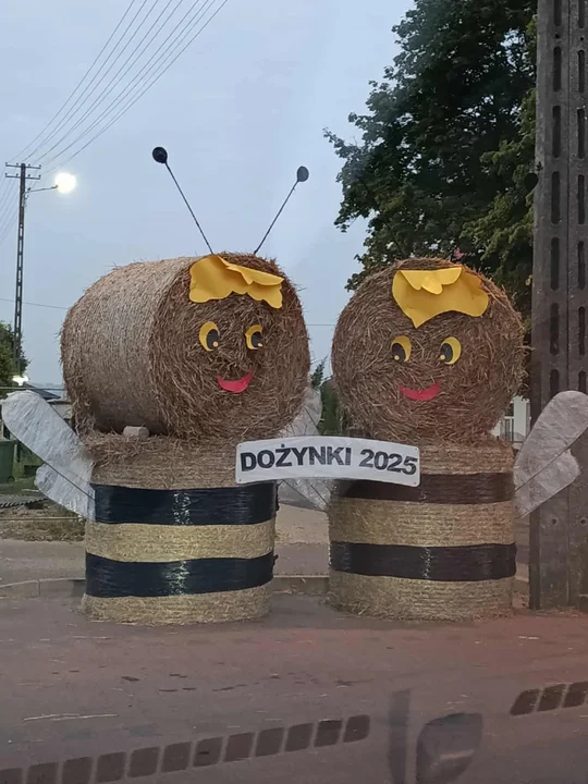 Turobin dożynki