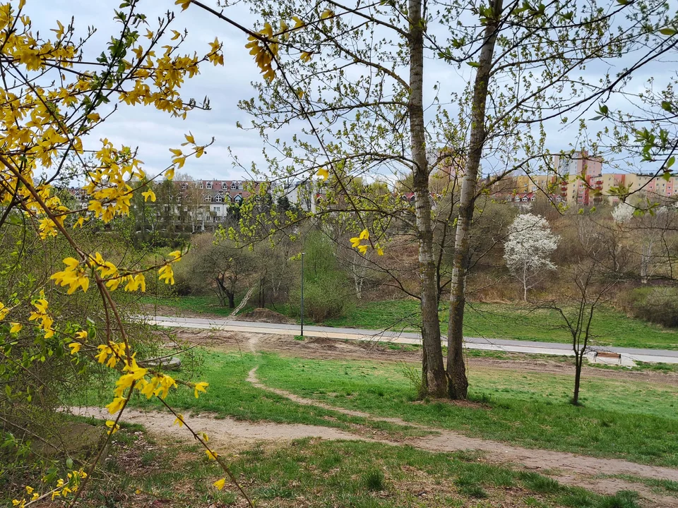 Lublin: Porządki w Parku Rury w pełni. Powstają nowe alejki