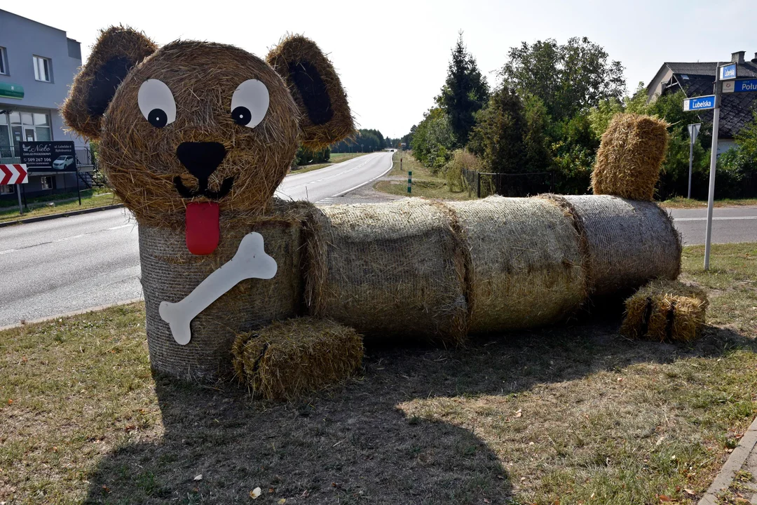 Tak było podczas dożynek w Kąkolewnicy (ZDJĘCIA) - Zdjęcie główne