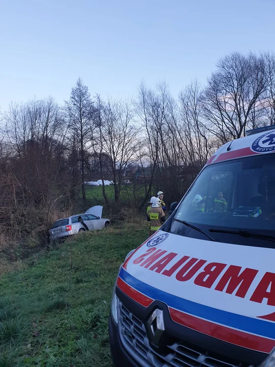 Kierowca audi zjechał do rowu w Wilczyskach