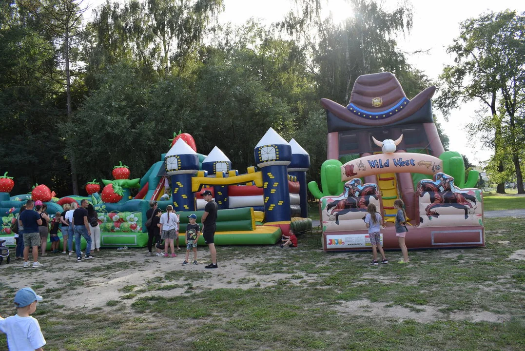 Piknik rodzinny w parku w Lubartowie