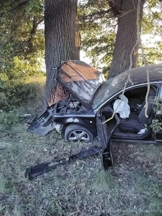 Powiat radzyński: Samochód uderzył w drzewo. Kierująca chciała wyminąć sarnę