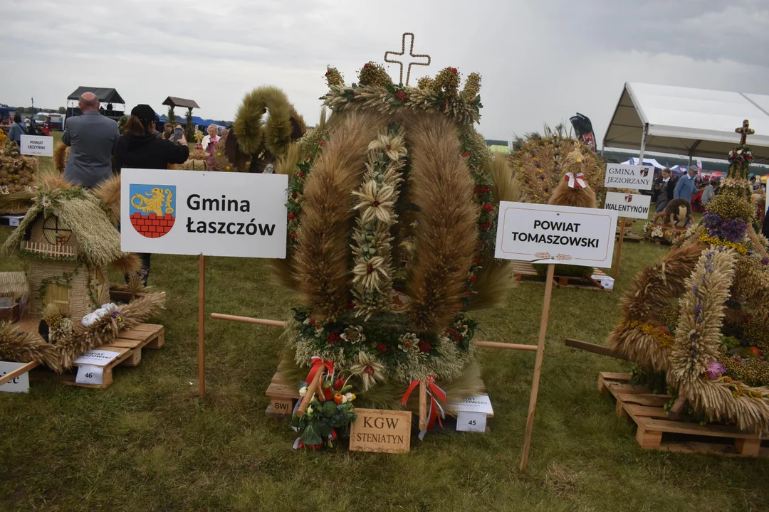 Dożynki Wojewódzkie w Świdniku. Najpiękniejsze wieńce nagrodzone