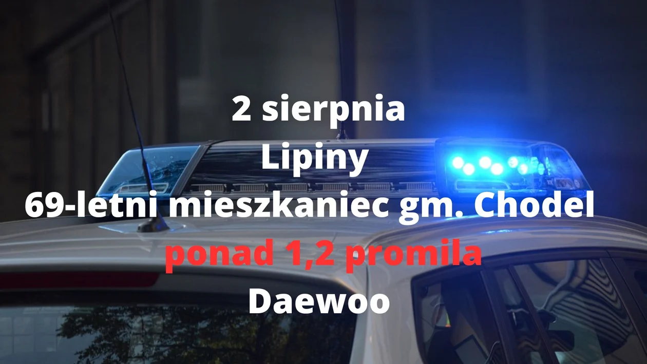 Nietrzeźwi kierowcy - powiat opolski