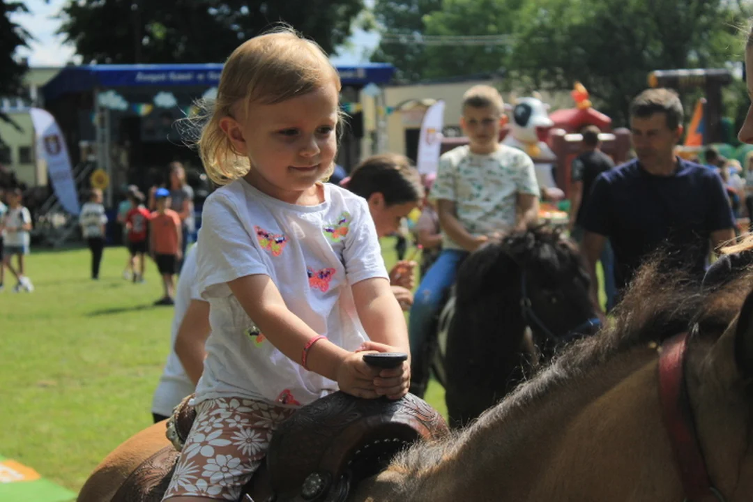 Moc atrakcji na pikniku rodzinnym w Ostrowie Lubelskim (ZDJĘCIA) - Zdjęcie główne