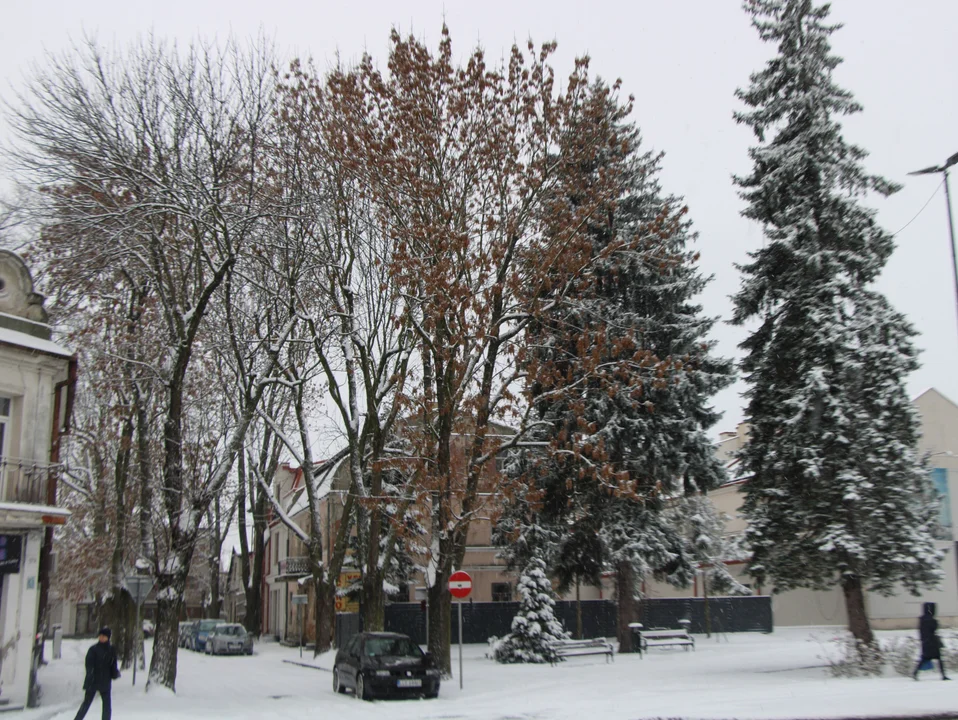 Zima w Lubartowie