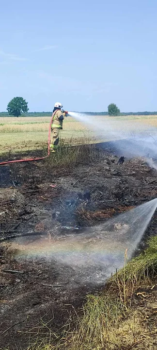 Pożar w Gułowie