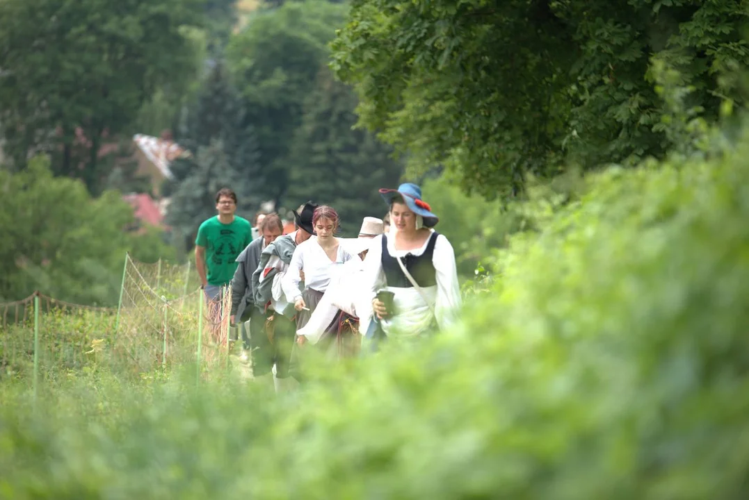 Piknik rycerski w Janowcu