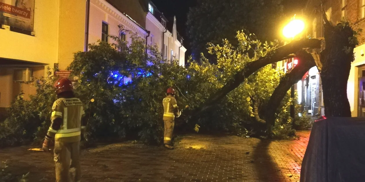 Silne burze przeszły przez Lubelszczyznę. Straż pożarna podsumowuje interwencje - Zdjęcie główne