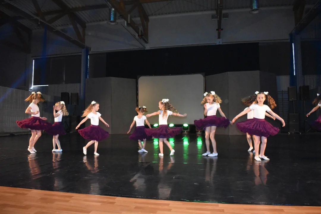 Wojewódzki Festiwal Współczesnych Form Tanecznych w Puławach