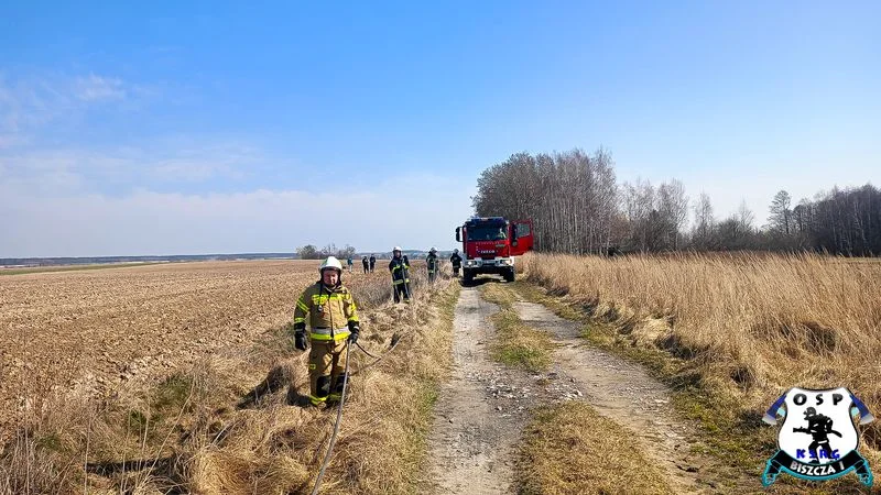 Pożar traw w Biszczy