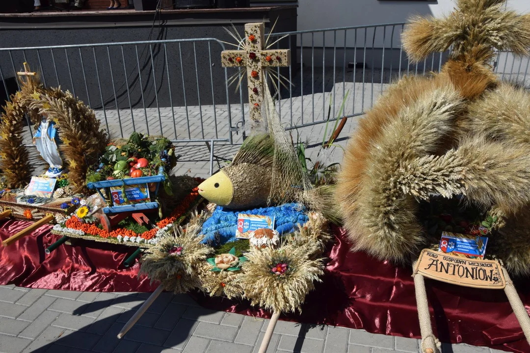 Milejów: Wszystkie wieńce dożynkowe w pełnej okazałości (ZDJĘCIA) - Zdjęcie główne