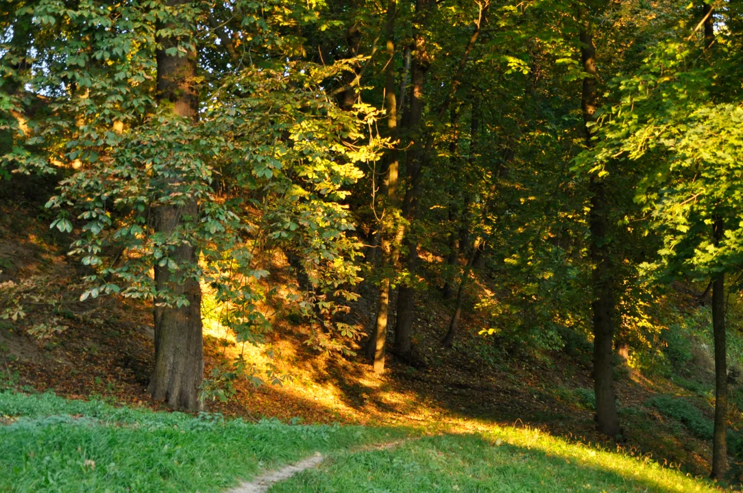 Jesień w Parku Czartoryskich