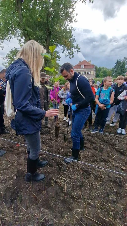 Sprzątanie w ramach akcji "Czysta Polska"