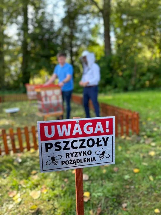 Pierwsze miodobranie w Białej Podlaskiej