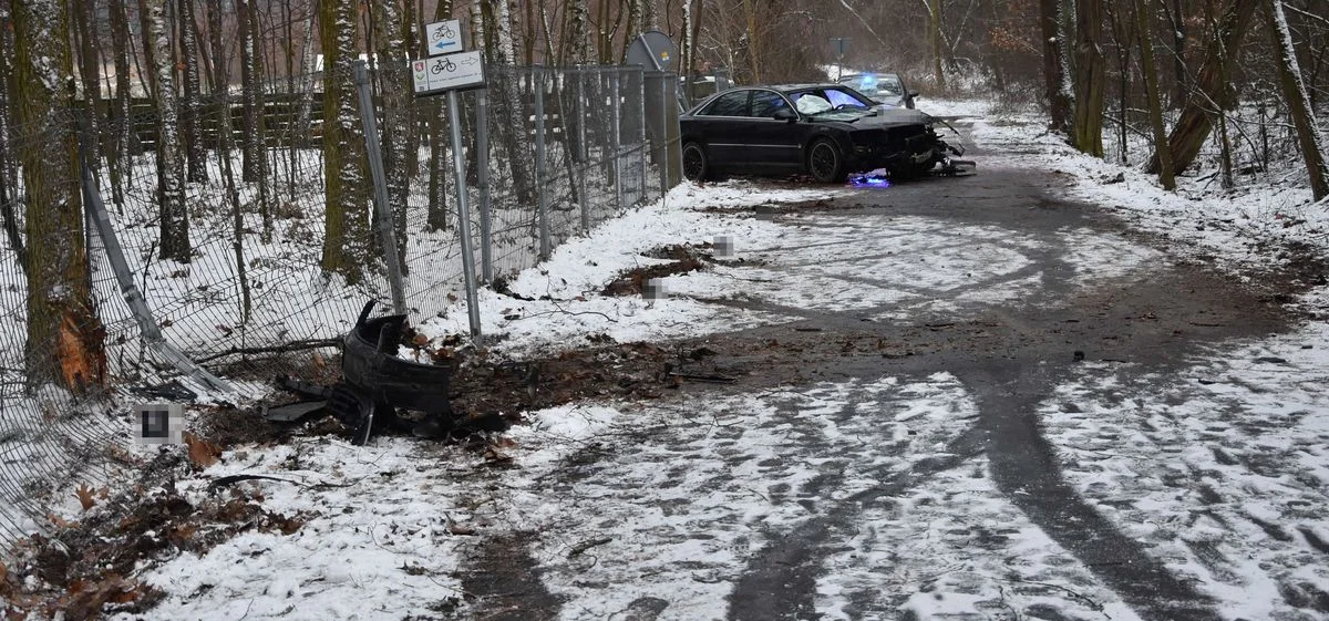 Powiat radzyński: "Rajdowe" popisy 22-latka. Samochód uderzył w drzewo