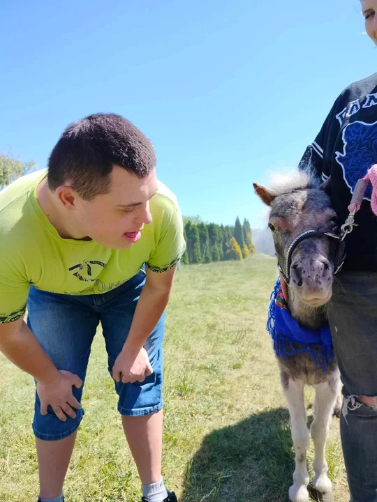 Alpaki w Zespole Placówek w Łukowie