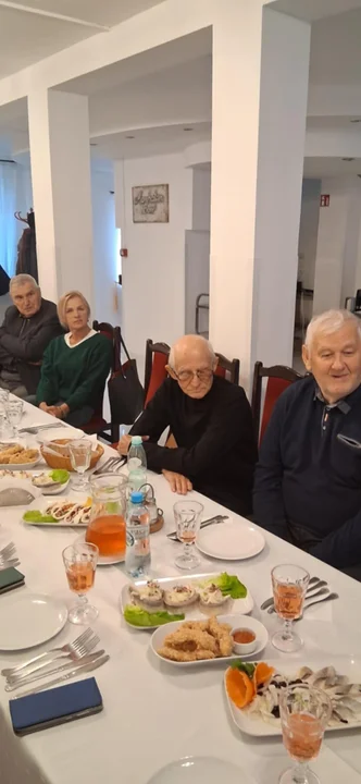 Wybory Nowa Lewica Powiat Radzyński