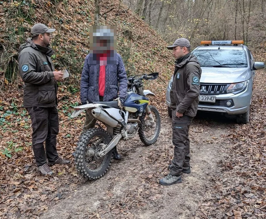 Policja ze strażą leśną w obronie kazimierskich wąwozów - Zdjęcie główne