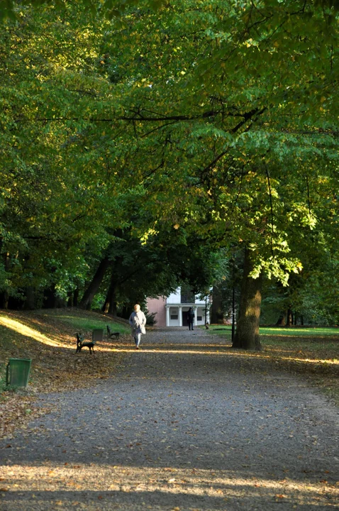 Jesienny Park Czartoryskich (ZDJĘCIA) - Zdjęcie główne