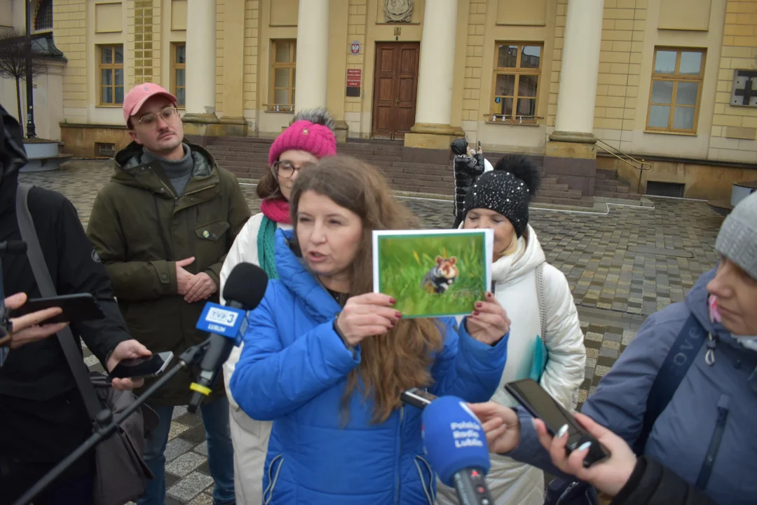 Lublin: "Zieloni" o górkach czechowskich.