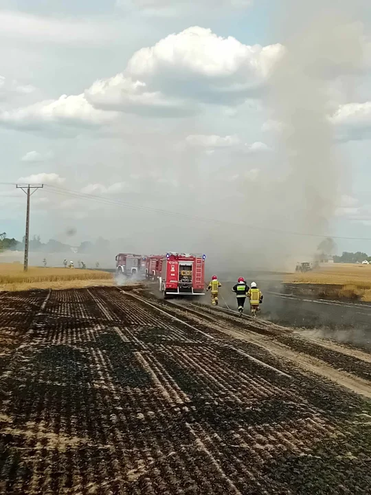 Pożar zboża w miejscowości Wojcieszków