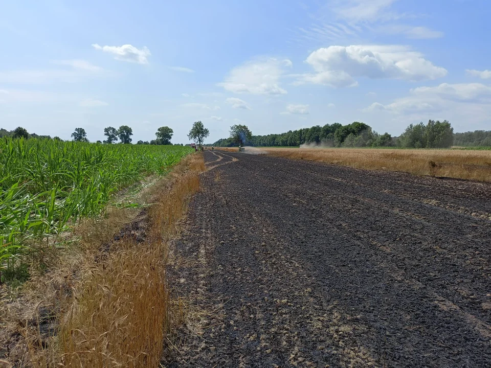 Pożar zboża gmina Serokomla