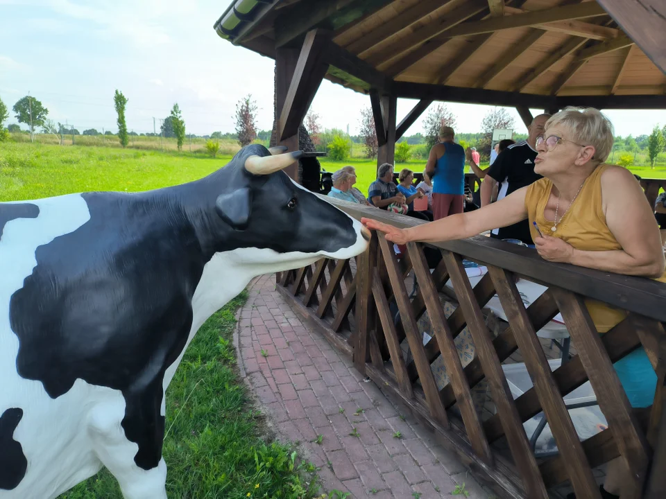 Seniorzy z gminy Stoczek Łukowski rywalizowali dojąc krowę