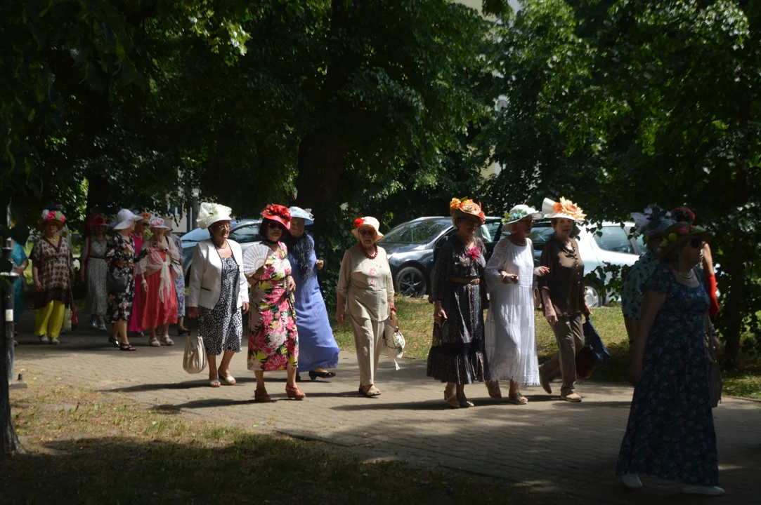 Parada kapeluszy w Puławach