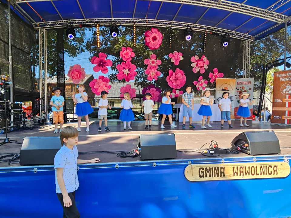 Dni Wąwolnicy - II Dzień (galeria)