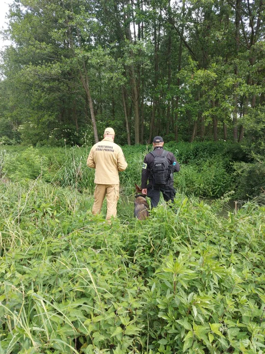 Tragiczny finał poszukiwań seniora z Łęcznej