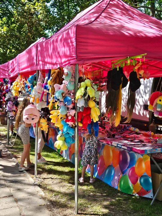 Dni Wąwolnicy – I Dzień (galeria)