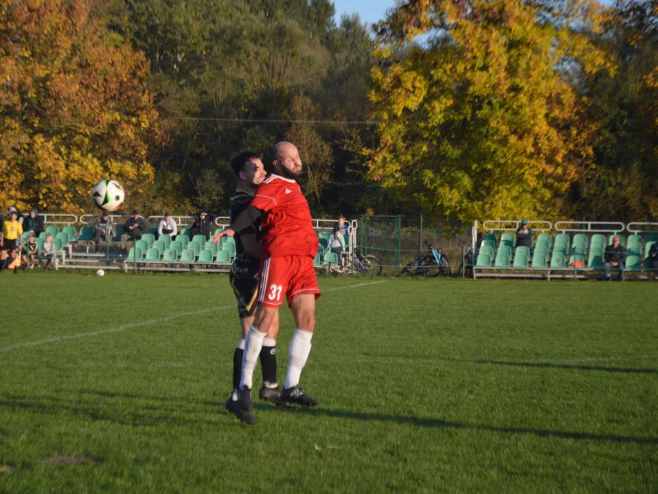 Serokomla Janowiec - GLKS Michów