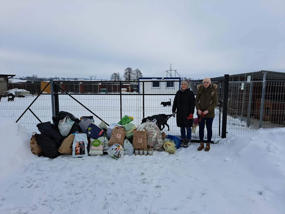 Podsumowanie zbiórki darów dla schroniska „Zwierzaki do wzięcia”