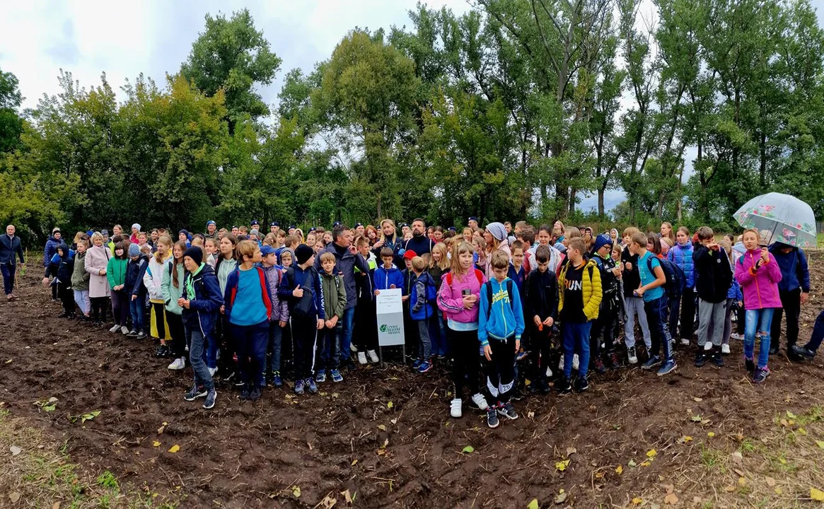 Sprzątanie w ramach akcji "Czysta Polska"