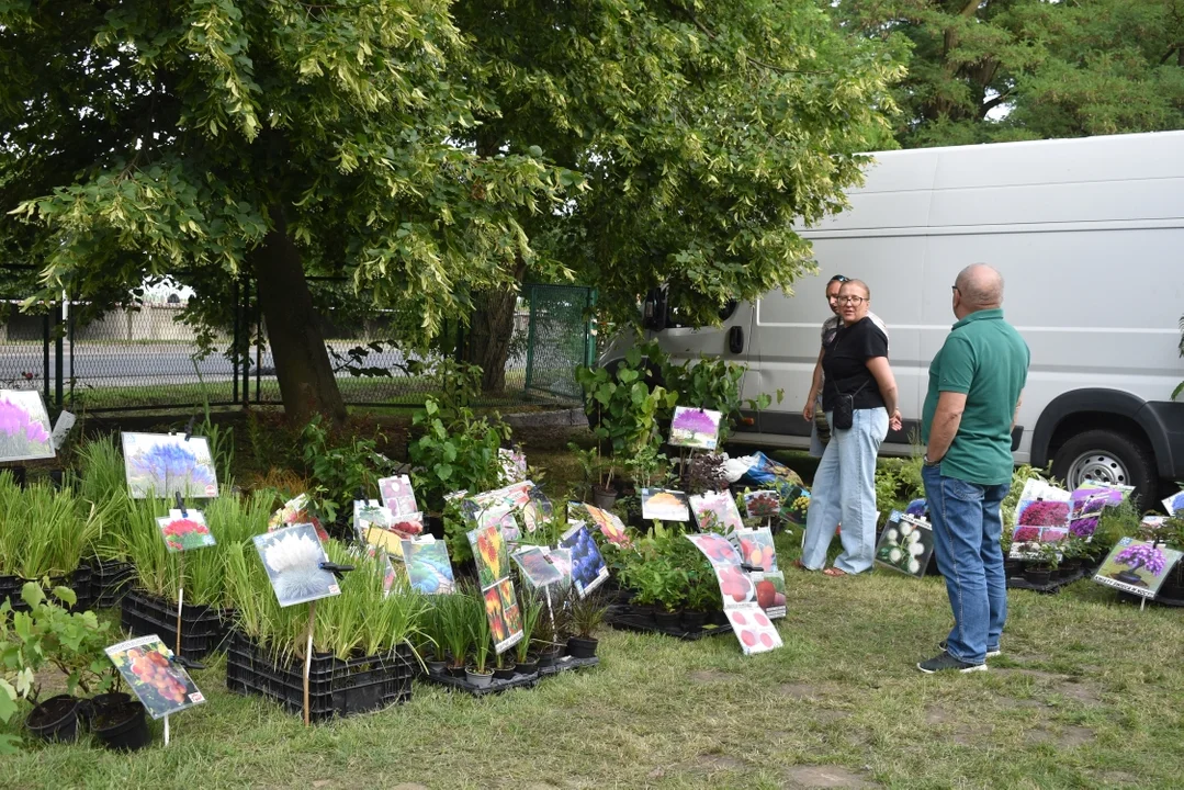 Święto Róż w Końskowoli - piknik rodzinny