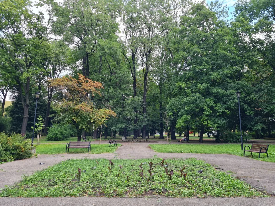 Lublin: Zabytkowy park doczeka się pełnej odnowy. Miasto ogłosiło przetarg - Zdjęcie główne