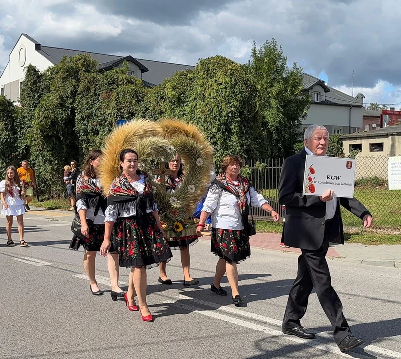 Święto plonów pełne tradycji, muzyki i dobrej zabawy. Dożynki w Ostrowie Lubelskim przyciągnęły tłumy (zdjęcia) - Zdjęcie główne