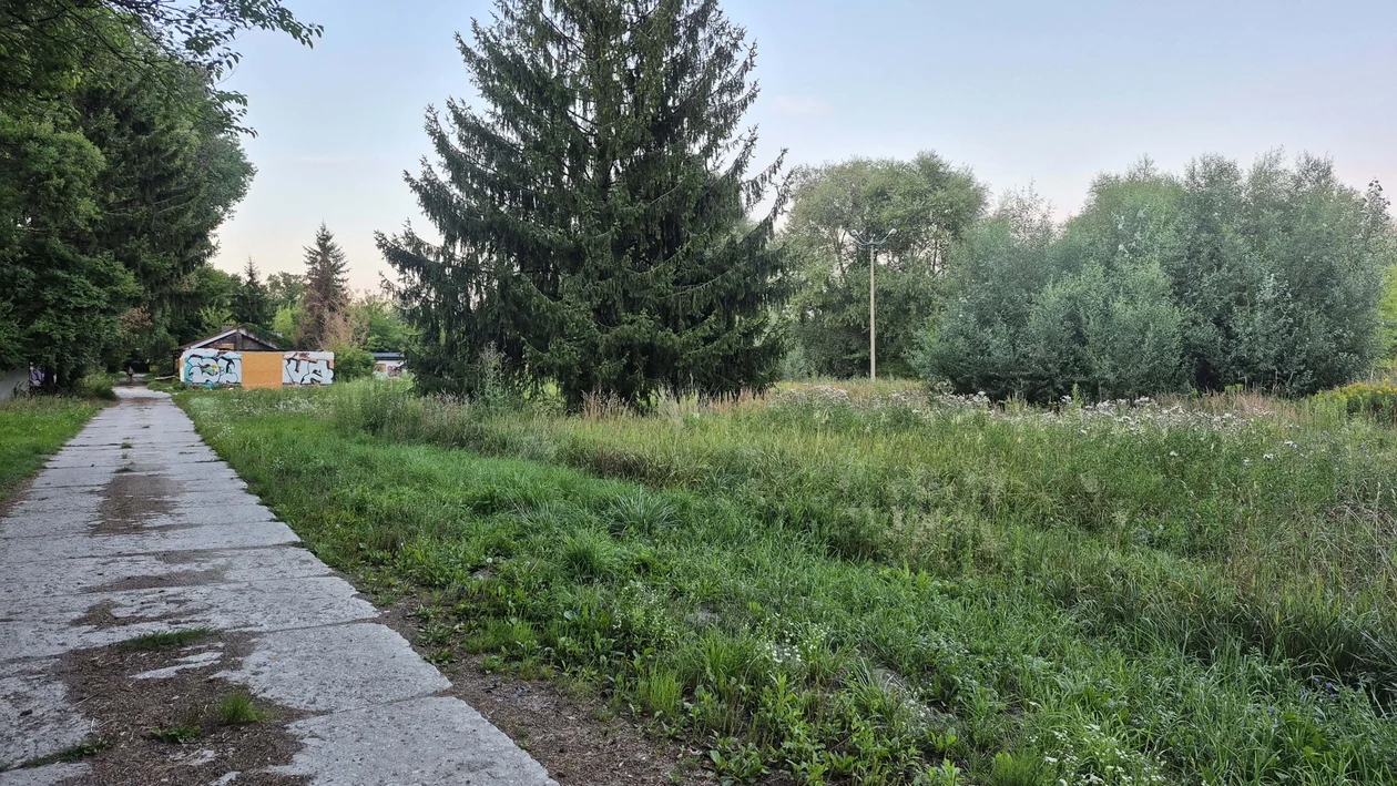 Niszczeje teren po dawnym Lubelskim Klubie Jeździeckim. Zdjęcia - Zdjęcie główne