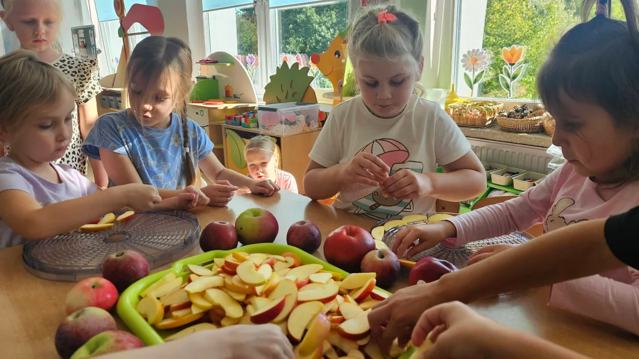 Projekt Jabłko w Przedszkolu nr 5