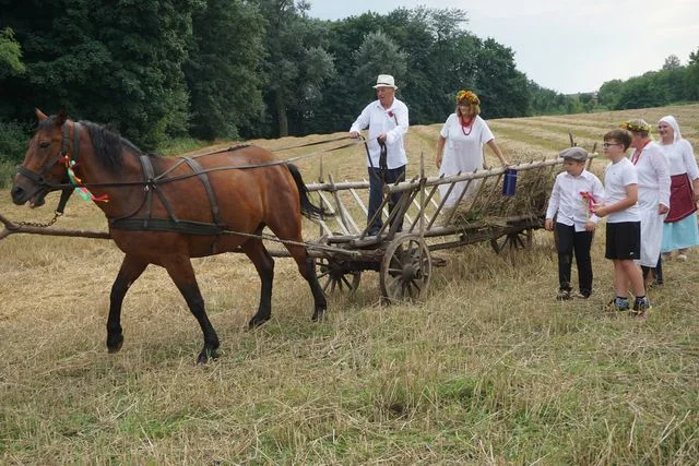 Żniwa w Bronicach