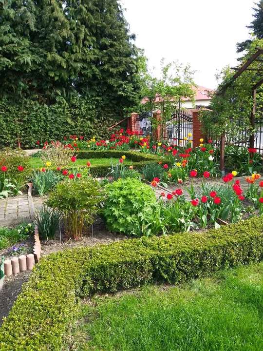 Ogród pani Władysławy Trockiej z Puław