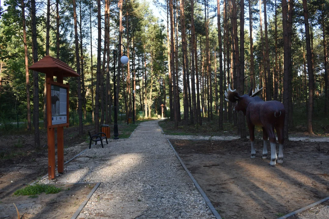 Kompleks rekreacyjny Amonit w Klimkach w gminie Łuków