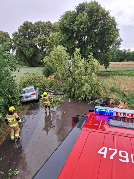 Ulewa przeszła przez powiat łukowski. Na Audi spadło drzewo - Zdjęcie główne