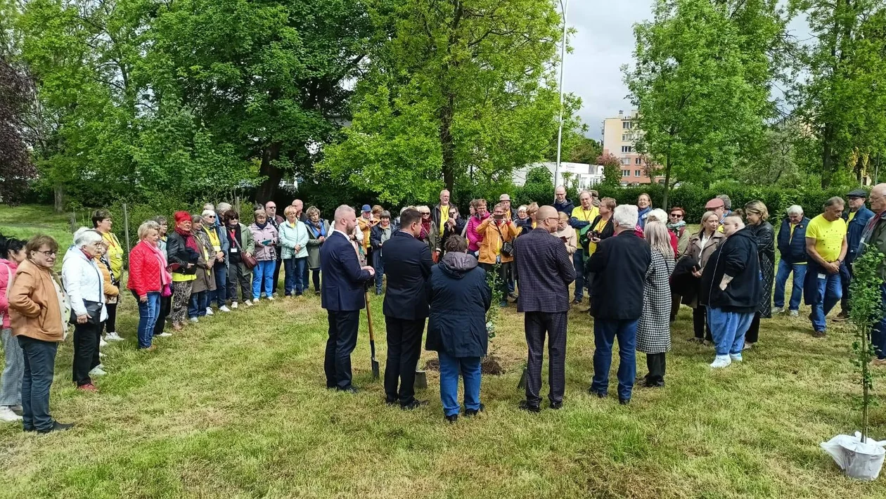 Zamość sadzi dla Ukrainy