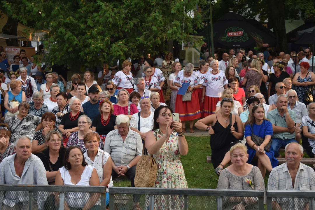 Dożynki Powiatowe w Wąwolnicy