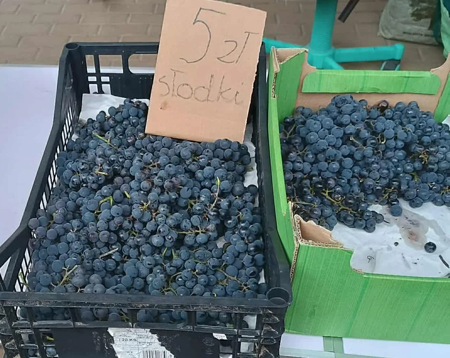 Ceny z targu 16 września