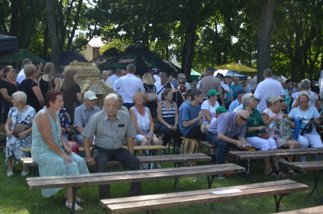 Dożynki powiatowe 2024 w Wąwolnicy