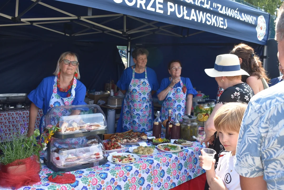 Truskawkobranie 2025 w Górze Puławskiej